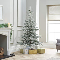 Nobilis snöig julgran